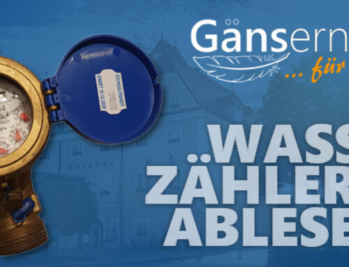 Wasserablesung / Bekanntgabe Wasserzählerstand