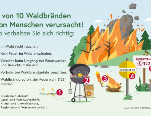 Waldbrände vermeiden: So verhalten Sie sich richtig!