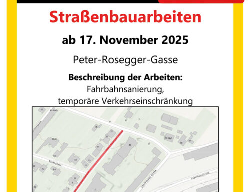 Fahrbahnsanierung Peter-Rosegger-Gasse ab 17. November 2025