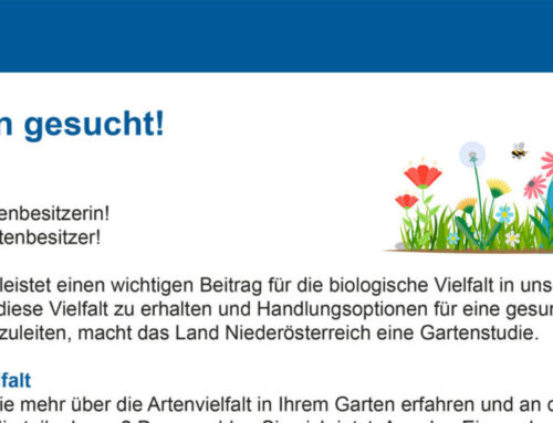 Gartenstudie – Garten gesucht!