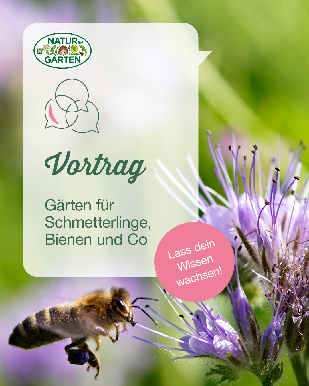 Natur im Garten Vortrag "Gärten für Schmetterlinge, Bienen & Co"