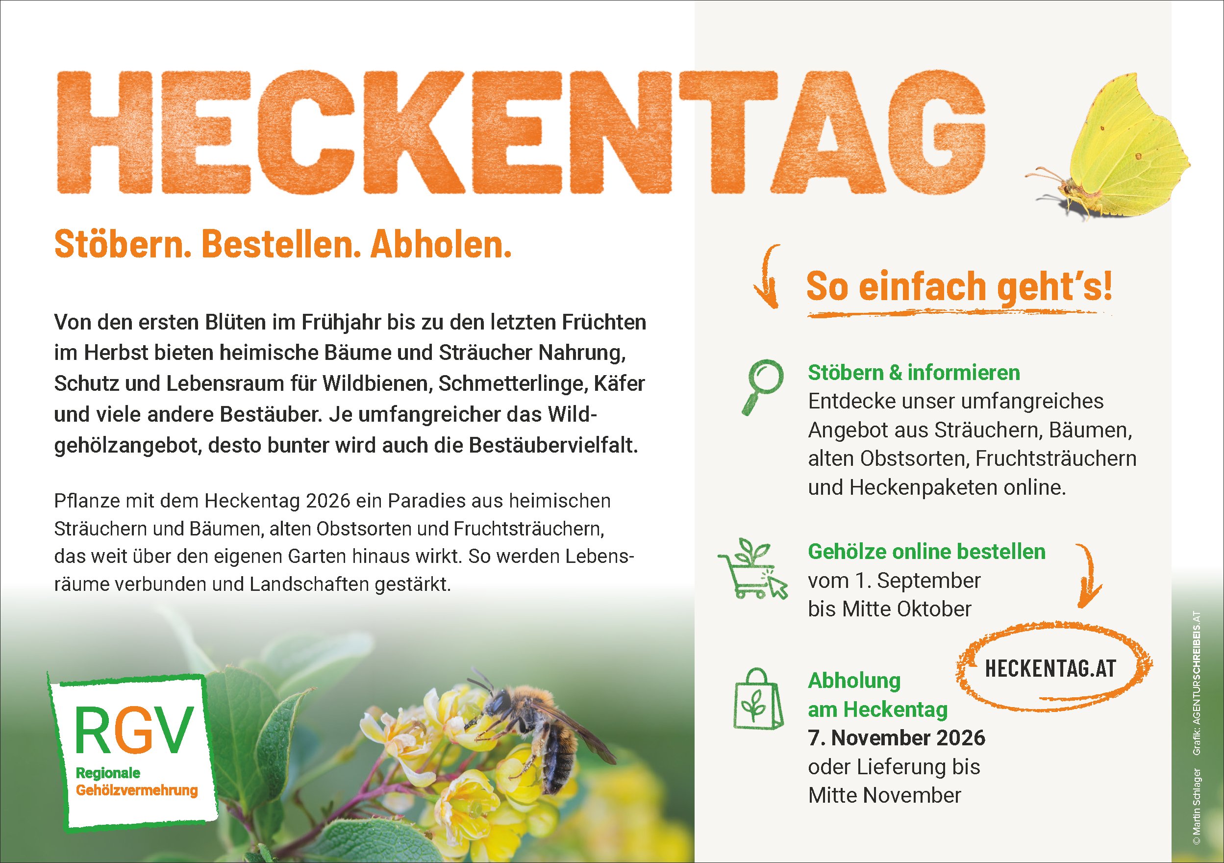 Heckentag - Abholung