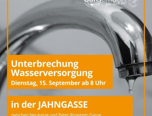 Reparatur Wasserleitung | ab 15. September 8 Uhr